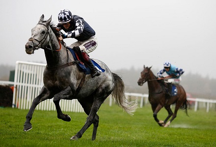 Nick Scholfield: Vibrato looks well-weighted on previous exploits