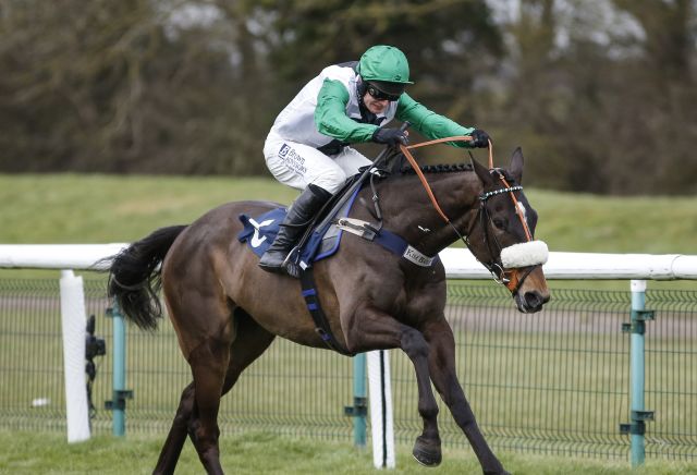 Unbeaten Vinndication backed to go chasing at Cheltenham