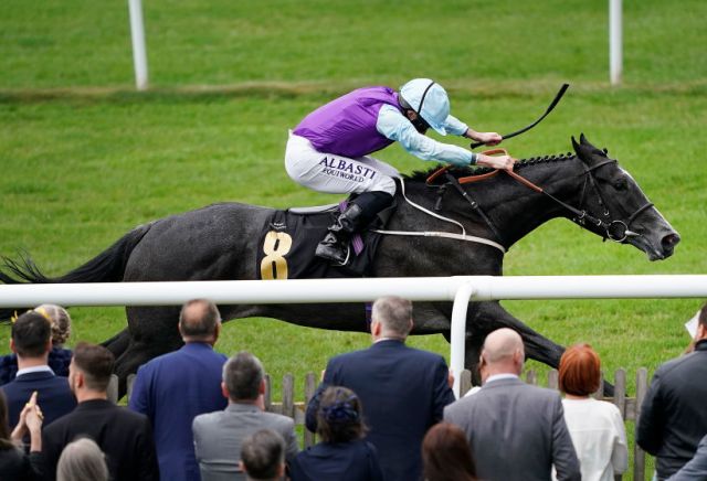 Andy Holding's July Stakes Tips & Preview