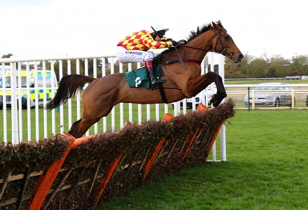Money Horse: Sunday's Most Backed Horse