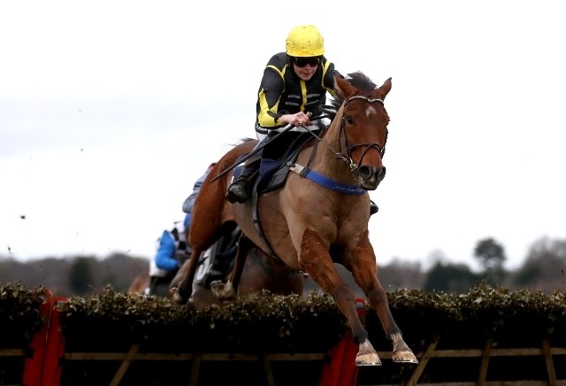 Money Horse: Tuesday's Most Backed Horse