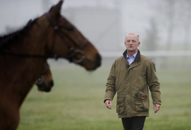 Annamix the Mullins hype horse for Cheltenham