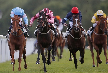 Sunday's Money Horse Oddschecker