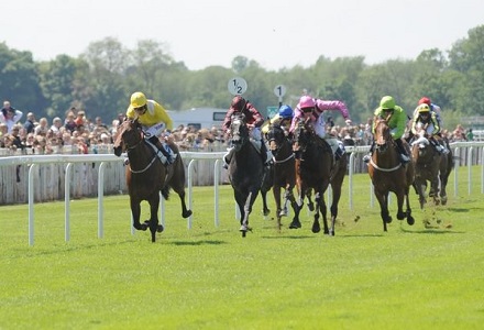 Money Horse: Monday's Most Backed Horse