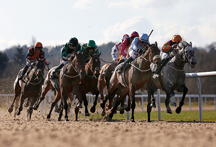 UK Horse Racing Tips: Wolverhampton