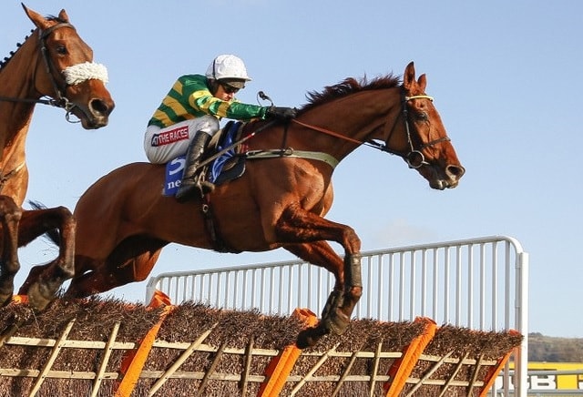 Punters Pile into Yanworth as Alan King confirms Cheltenham target