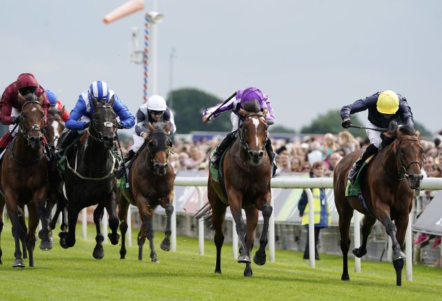 Money Horse: Sunday's Most Backed Horse