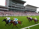 UK Horse Racing Tips: York