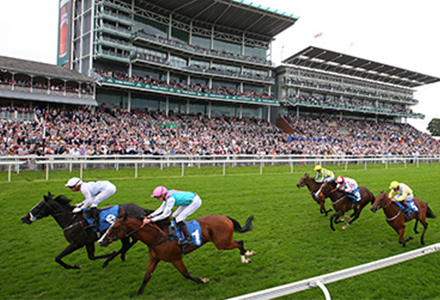 UK Horse Racing Tips: York