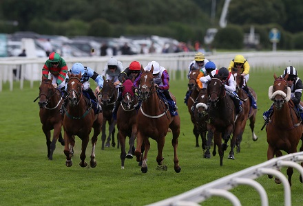 Money Horse: Friday's Most Backed Horse