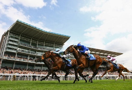 York Ebor Festival: Day Three Stats and Trends