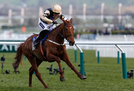 Cheltenham Festival Diary: Yorkhill case not clearcut