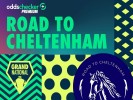 Aintree Day 2 Tips from Road to Cheltenham featuring two plays in the Topham