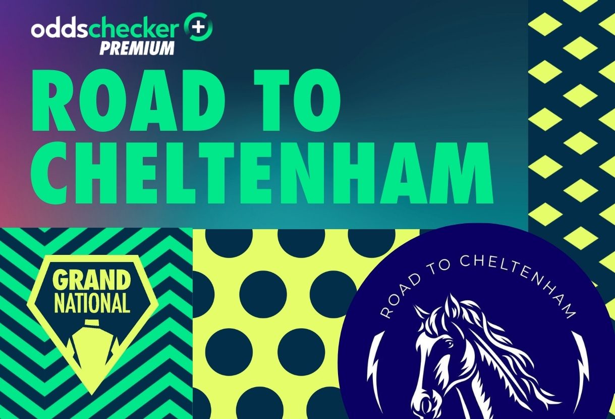 Aintree Day 1 Tips from Road to Cheltenham including 3/1 chance in the opener