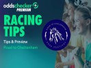 Road to Cheltenham's Five Ante-Post Tips for the 2026 Festival
