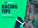 Irish Grand National 2026: Tips, Predictions & Betting Guide from R2C