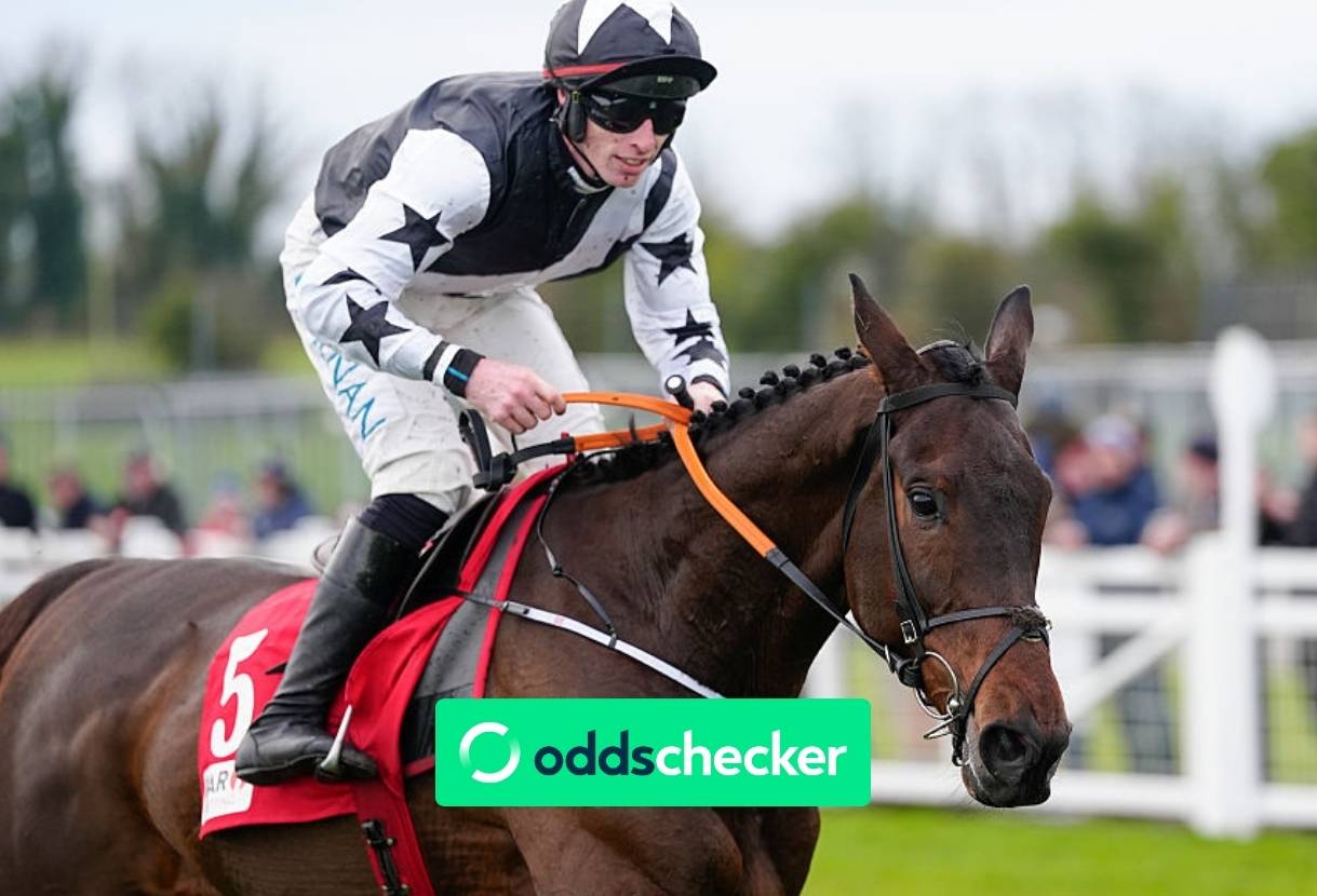 Brown Advisory Novices Chase: Romeo Coolio's Odds Drift to Win