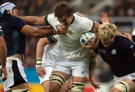 8th Oct - RWC 2015 Best Bets