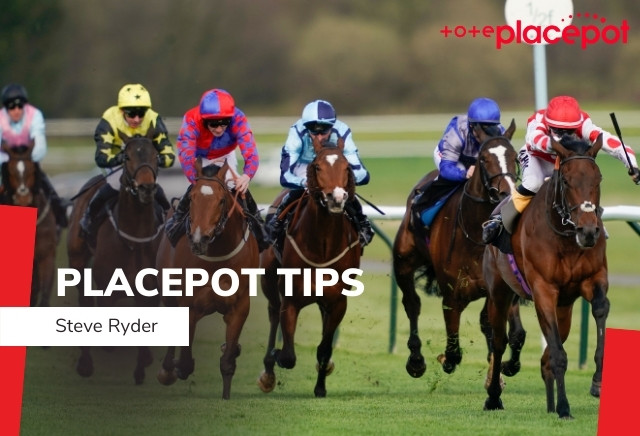 Today's Tote Placepot Tips for Leicester