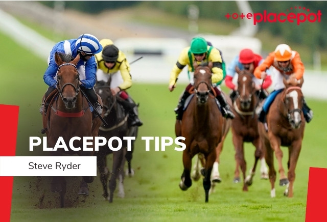 Today's Tote Placepot Tips for Brighton