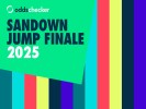Sandown Jump Finale Tips: Steve Ryder's Ante-Post Pick for the bet365 Gold Cup