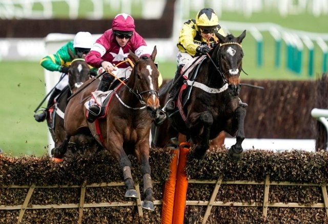 Cheltenham Arkle Chase 2021: Tips, Runners & Prediction 