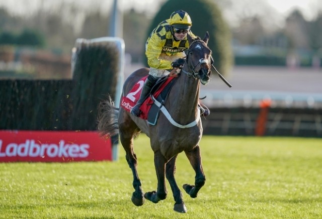 Cheltenham Festival 2021: 5 horses the bookies DON'T want to win