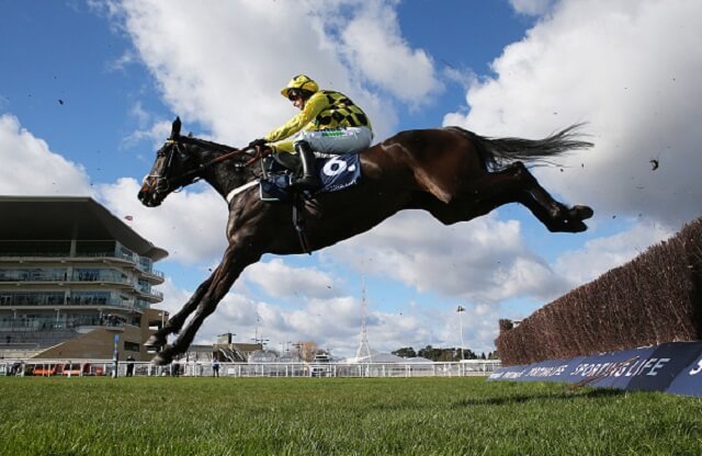 Cheltenham Festival 2022: The 5 most backed horses for next year's Festival
