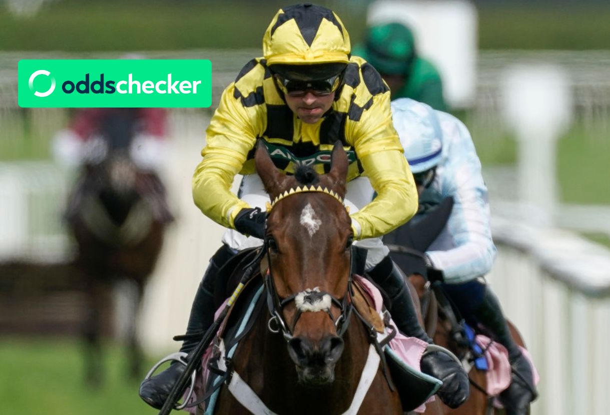 Majborough Becomes New Arkle Chase Favourite Following Sir Gino’s Withdrawal