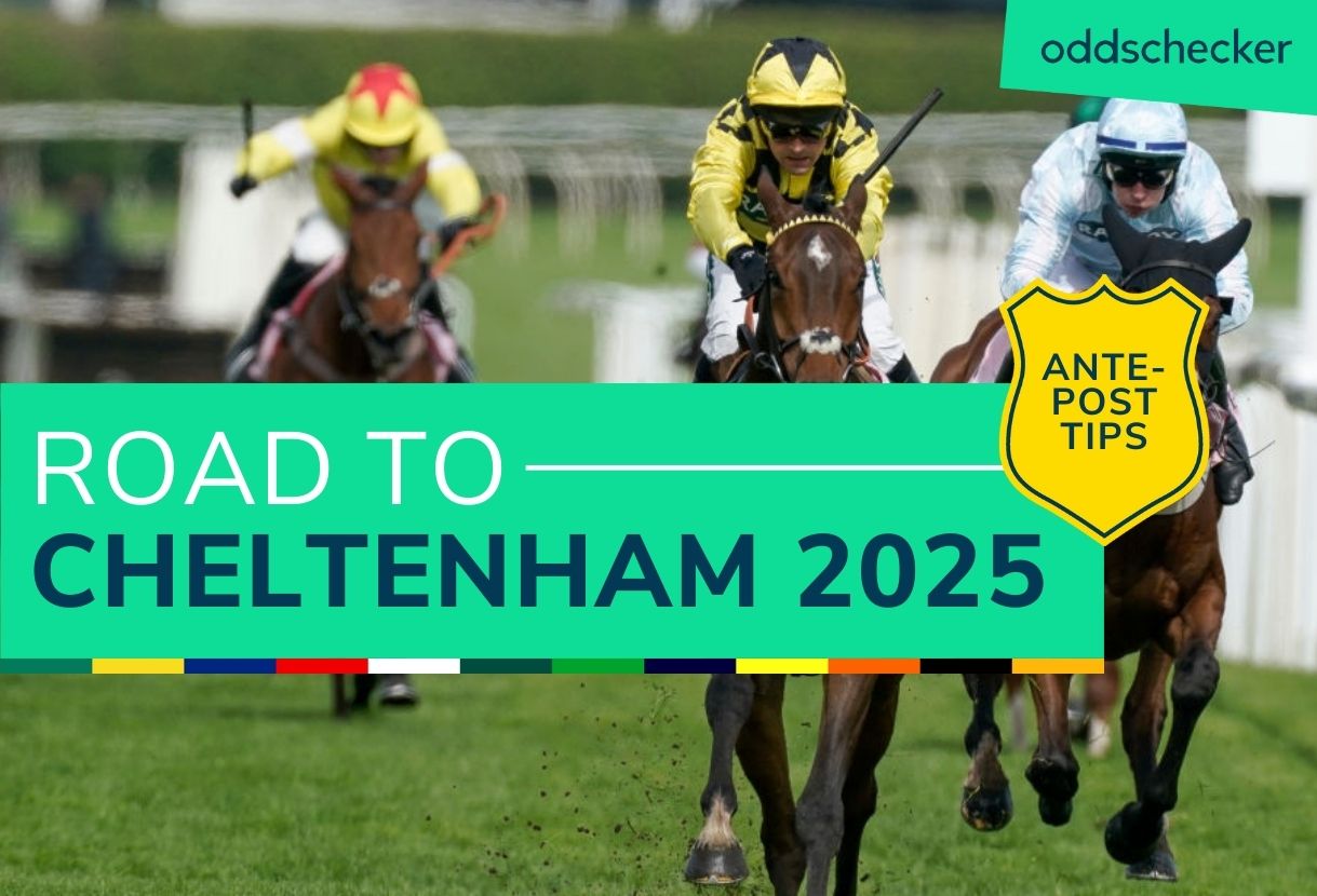 Andy Holding's Weekend Cheltenham Review from Newbury, Fairyhouse & Newcastle
