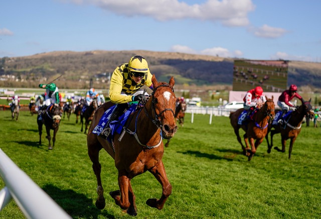 Matheson Hurdle 2022 Tips & Cheltenham Festival Clues
