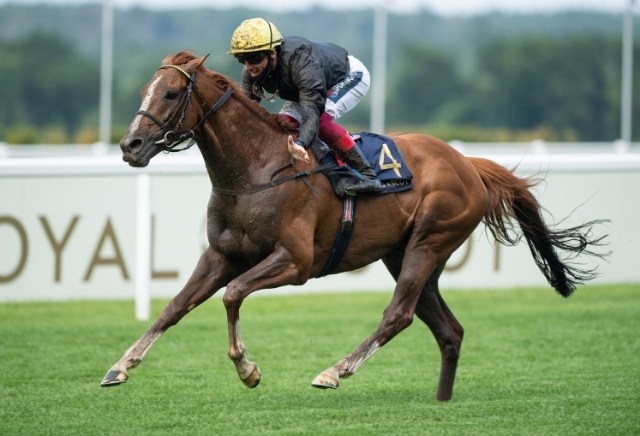 Ascot Gold Cup 2021: Odds, Runners, Bets