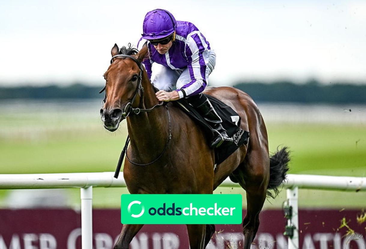 Five Most Popular Breeders' Cup 2026 Bets on Oddschecker
