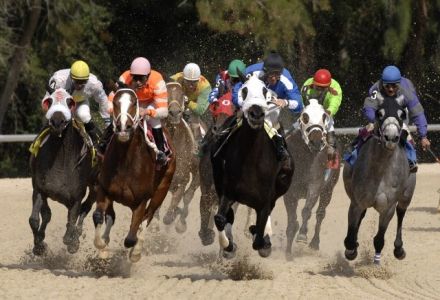Sunday's Money Horse through Oddschecker