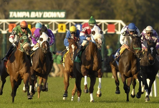 Friday US Racing Tips: Tampa Bay Downs | Oddschecker Friday US Racing Tips: Tampa Bay Downs | Oddschecker