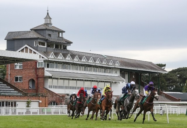 GYTO Wednesday Value Tip