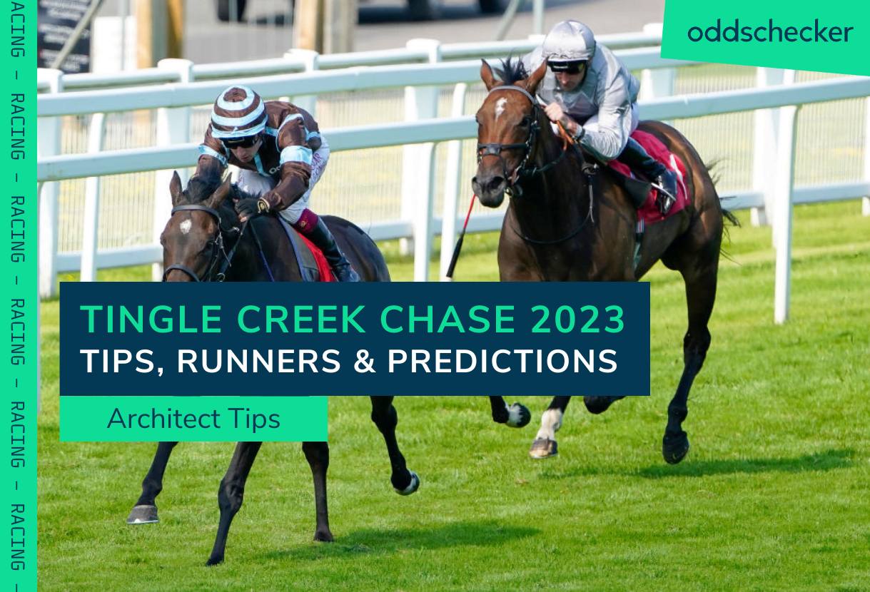 Tingle Creek Chase 2023 Tips, Runners & Prediction for Sandown