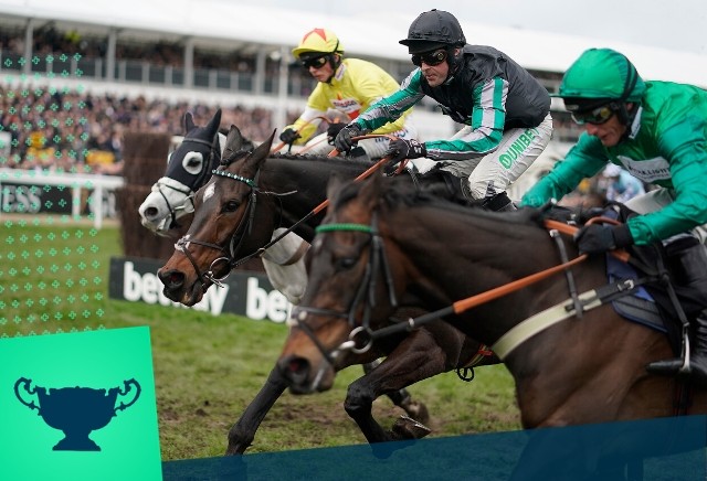 These are the five Cheltenham Festival horses that bookies DON'T want to win