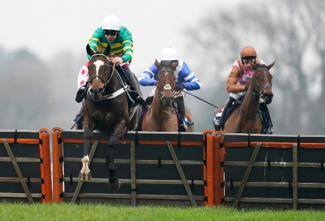 Aintree Top Novices' Hurdle Tips, Trends & Runners