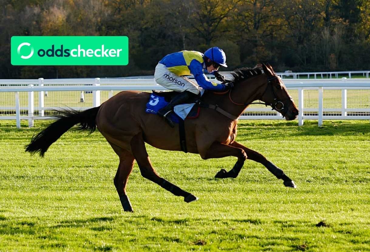 William Hill Hurdle Runners, Trends, Odds & Betting Tip