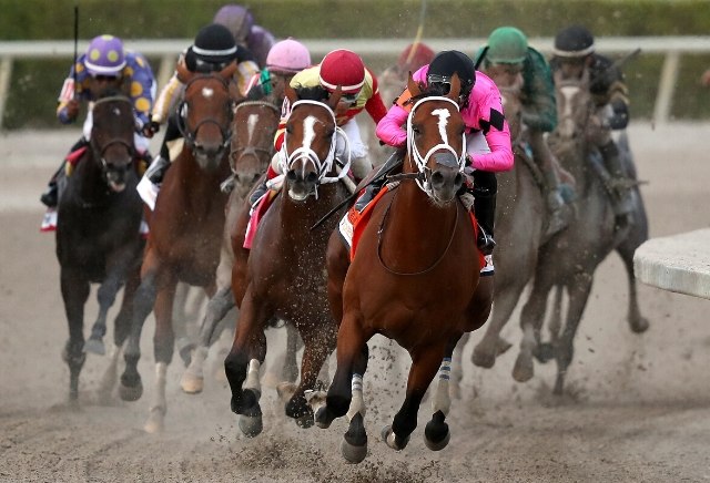 is there horse racing at gulfstream park today