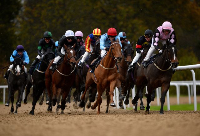 Money Horse: Monday's Most Backed Horse