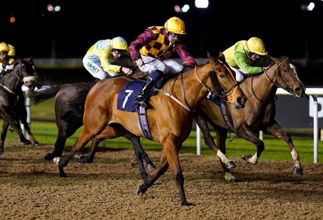Money Horse: Friday's Most Backed Horse