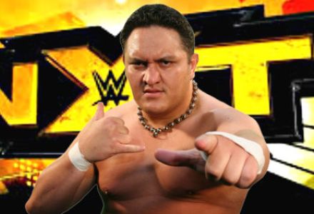 Royal Rumble Betting Preview & Tips