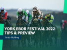 York Ebor Festival 2022: 40/1 Ante-Post Tip from Andy Holding